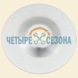 Прижимная тарелка TS400 / TS410 / TS420 / TS480i / TS500i / TS700 / TS760 / TS800, D103 mm