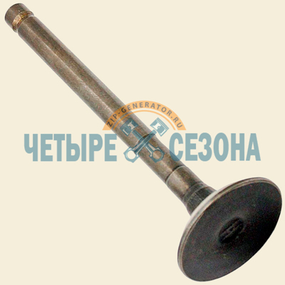 Клапан выпускной Champion DG6501E / DG6501E-3 / DG6501ES, D29xd7 mm, L=94,4 mm